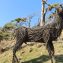 Mull’s Hidden Gems: Discovering the Island’s Secret Spots