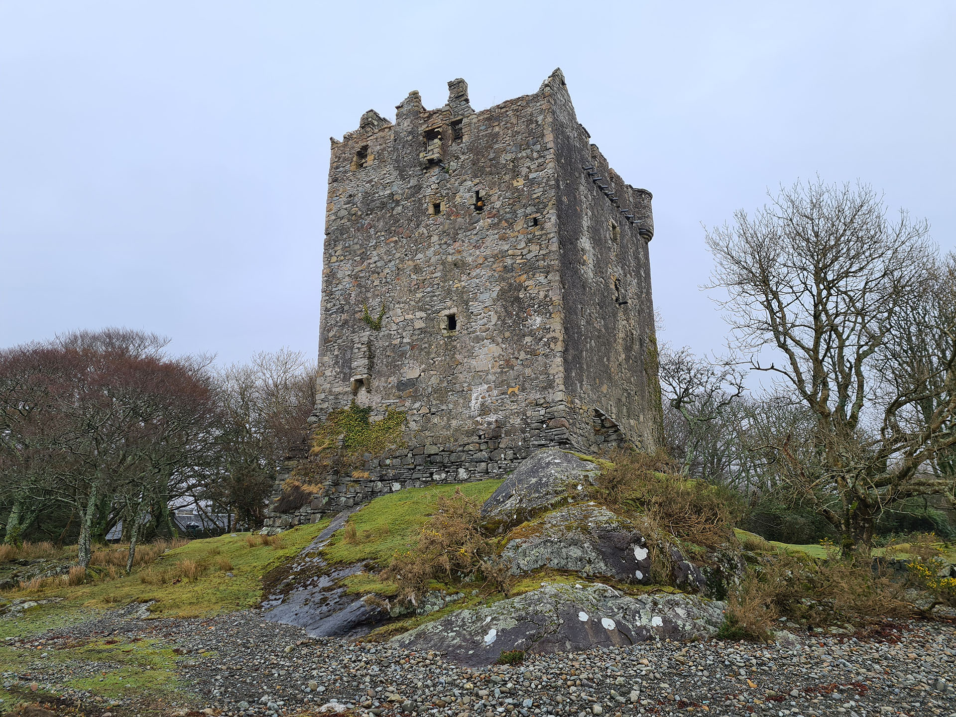 Moy Castle ruins in woodland by Lochbuie
