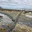 Carsaig, Isle of Mull – Geology and Fossil Discoveries