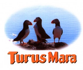 Listing Logo