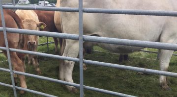 Bunessan Show
