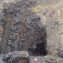 A Guide to the Burg and the Fossil Tree on the Isle of Mull