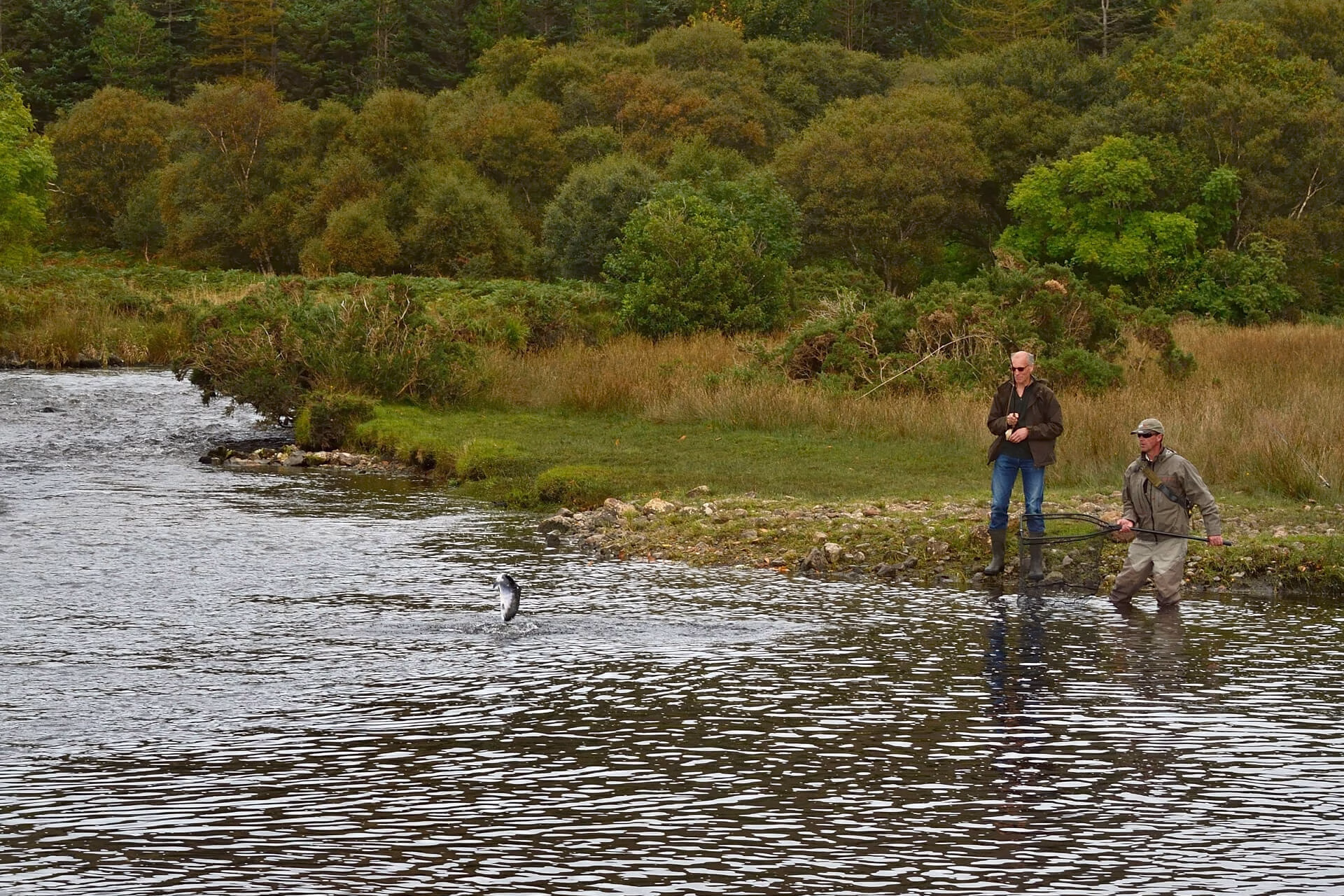 Two people fly-fishing on a river with wooded banks, watching a fish jump out of the water in the foreground.
