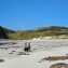 Dog-Friendly Things to Do on the Isle of Mull: Beaches, Walks & Places to Stay