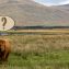 Isle of Mull Travel Guide: Top 14 Questions Answered for First-Time Visitors