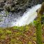 From Harbour to Woodland: The Coastal Walk to Aros Park
