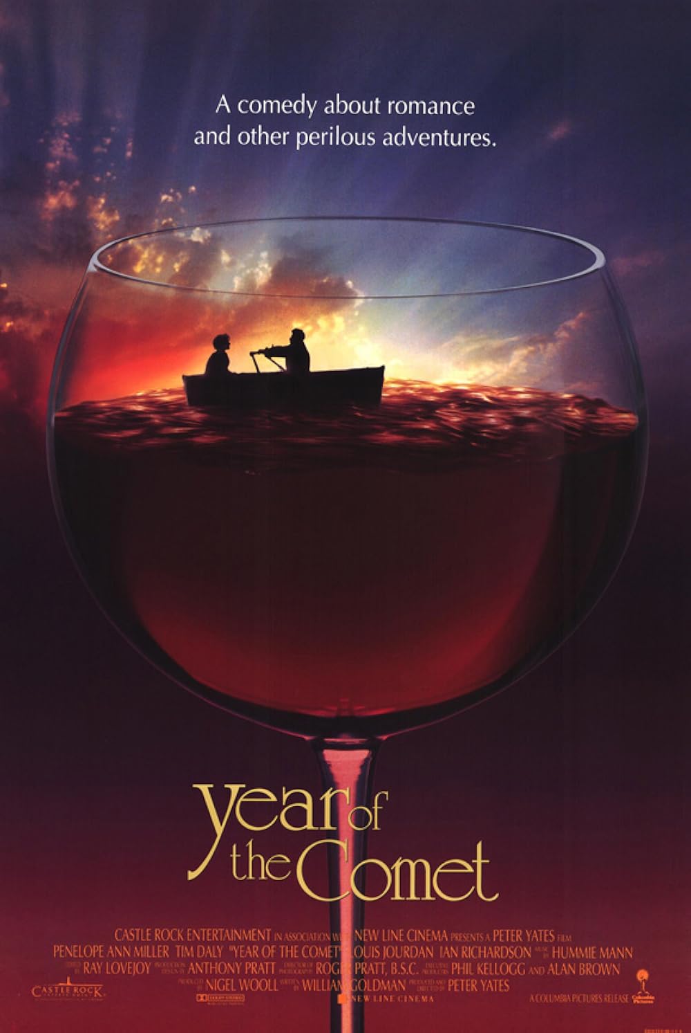 Year of the Comet